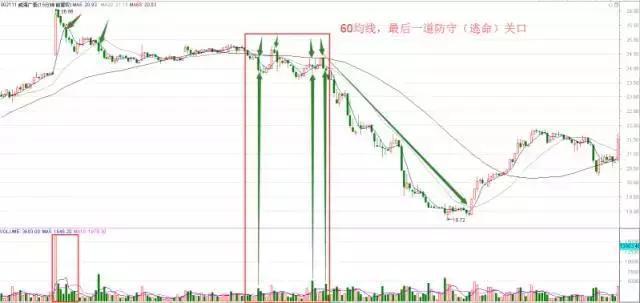 2023一码一肖100%准确285,3网通用：安装版v896.996